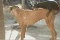 身高不是距离···当然年龄也不是···必然种族不同也没问题·图片