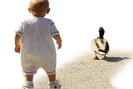 宝宝的鞋子这么挑才合适图片