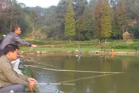 混养塘钓鱼的用饵技巧图片