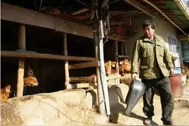 实拍：韩国农村的生活状态 ，种菜养牛，屋前泡菜一坛坛图片