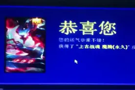 扒一扒！去年战斗之夜你抽到了什么坑皮肤图片