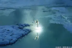 画意的美！摄影可以是一首抒情诗图片