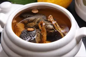 三七药膳——好吃又多样的鸡禽食补大全图片