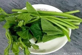 南瓜叶有药用价值？农村人真会吃，不仅吃红薯叶，还吃南瓜叶！图片