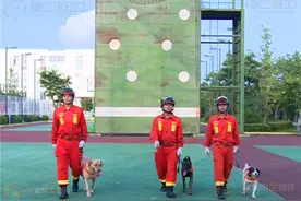 揭秘德阳“消防特种兵”——搜救犬图片