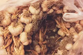 佟大为晒友人多送食品大蒜！称这是有味道的菜图片
