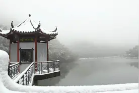 BOSS级大雪降临南山竹海，绝美雪景美煞游客图片