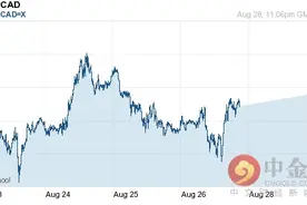 英镑对加元汇率今日中间价：08月29日英镑对加元汇率一览表图片