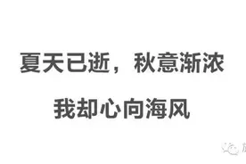 限时免签玩法多，性价比这么高的海岛过了今年去哪找！图片