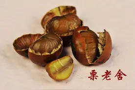 板栗的药用价值有哪些？看看古代医书如何记载！图片