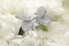 格拉夫推出Princess Butterfly顶级钻石腕表系列图片