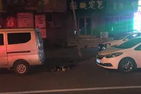 网传吉林市一对情侣吵架怒摔4只狗致死？图片