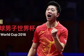 项目 | 2016年乒乓球男子世界杯图片