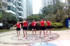 广场舞《你是我心中最美的花》图片