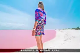 粉色的湖不要太迷人图片
