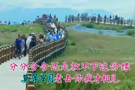 一首《放不下的情缘》太美了！图片