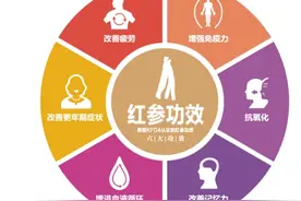 支招：春节送什么好图片