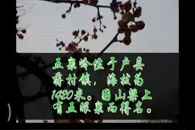分享视频视频封面