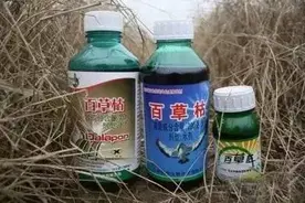 误服农药百草枯还有救吗？图片