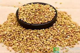 ？苦荞麦药用价值图片