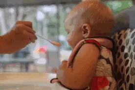 辅食机PK赛，哪款是你心中的冠军？图片