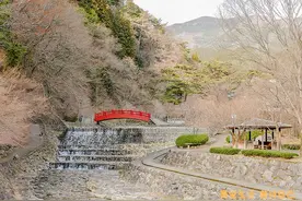 游记  日本三大温泉之下吕温泉  半日游（中）图片