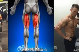 健身不练腿到老都后悔 8个健身动作练出强壮大腿肌肉图片