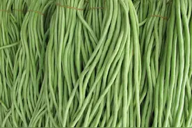 胖子多阳虚，瘦子多阴虚！男女通用-食疗养生！图片