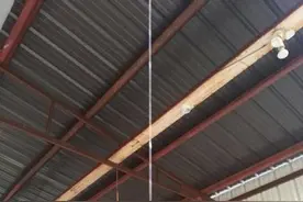 蜘蛛在门口悬吊巨石陷阱 想要暗算谁呢？图片