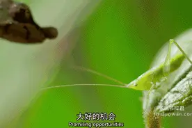 爆笑GIF图第12554： 懒人系鞋带法！拿去get不用谢！图片