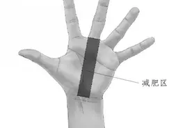 健康减肥 试试手脚反射区图片