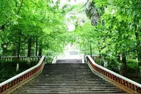 十二年寒窗一朝金榜提名之后，你上大学还是大学上了你？图片