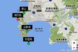 这里是海豹的天堂图片