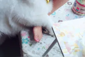 拿出你的微笑，但是卖萌是可耻的图片