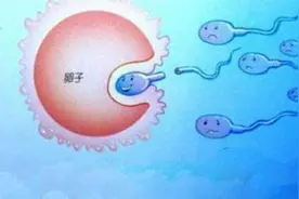 精子跟卵子在游泳池里要经过多少阻碍，游泳后怀孕简直可笑！图片