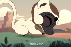 维氏冕狐猴NO.2，可爱的步伐又称“跳狐猴”视频封面