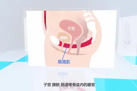 凯格尔运动教程视频封面