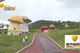 诸城这家银行的做法让当地的山更绿、水更清！视频封面