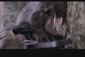 甲贺伊贺两派忍者高手尽出，一路拦截互相追杀！图片