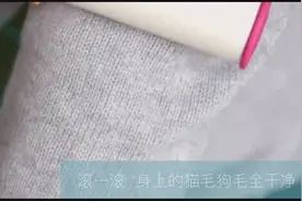 Meet Flint！明星网红都在用的粘毛神器！图片