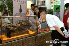 西安市民家门口可办柬埔寨签证 当天办当天取图片