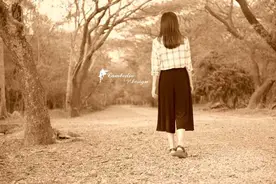 终与你靠近——吴哥图片