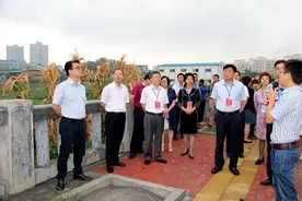 双桥经开区：城市交通“大动脉”形成 带动巨大发展效应图片