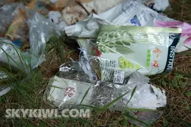 新西兰业主居民谴责 华人乱丢垃圾毁原始公园图片