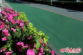 长春有一条公交车道是绿色的 您见过么图片