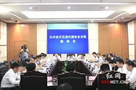 长沙经开区召开现代服务业发展座谈会图片