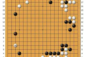 围棋业余天王的往昔对局详解图片