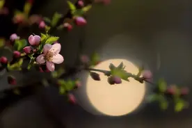 盘点适合中秋节欣赏的十大古琴曲——古琴札记图片