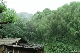 这里的人活到100岁轻而易举，长寿村之谜！图片