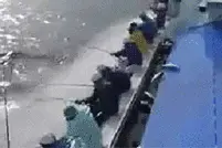 实拍现代化钓鱼流水线图片